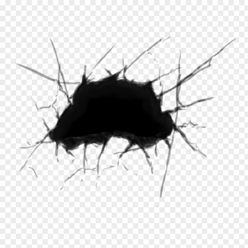 2d Sprite Beetle Graphics Concept Art Two-dimensional Space Draw Ever Nearer PNG