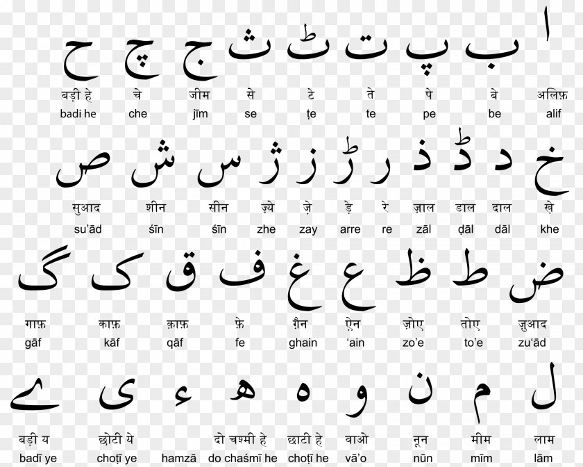 Arabic Calligraphy Devanagari Urdu Alphabet Latin PNG