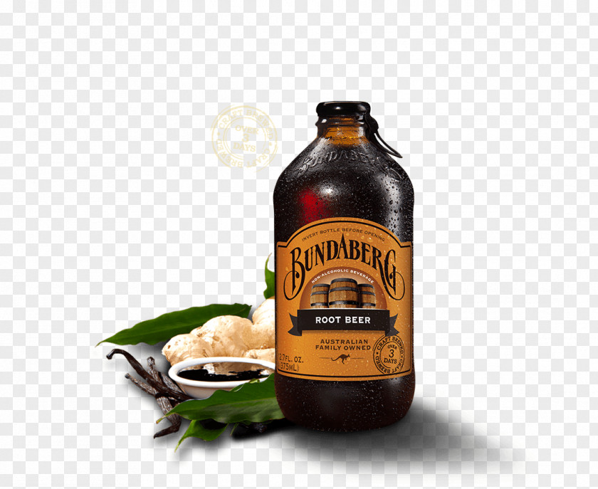 Floating Island Ginger Beer Root Fizzy Drinks Carbonated Water PNG