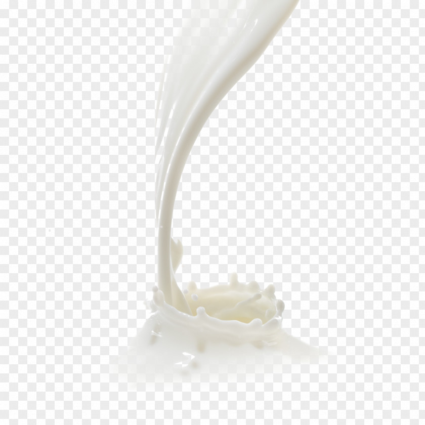 Milk Water Buffalo Dairy Products Curd Food PNG