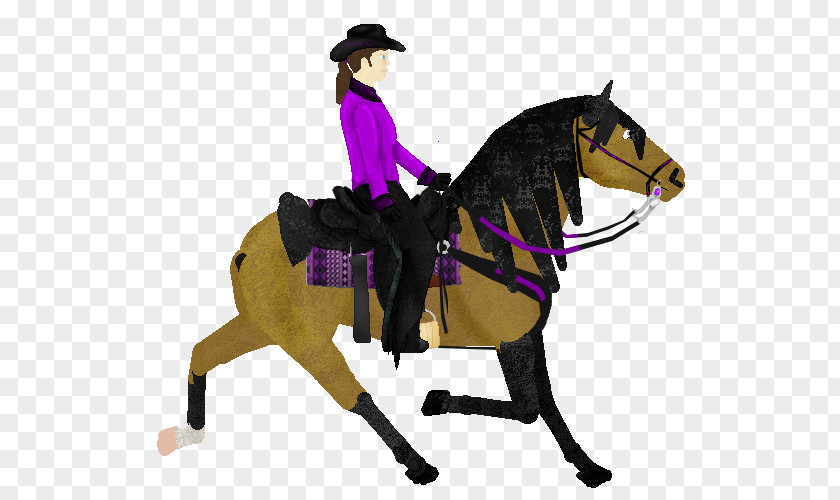 Mustang Western Pleasure Rein Equestrian Stallion PNG