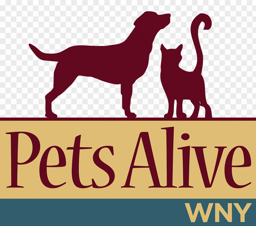 Puppy Labrador Retriever Dog Breed Cat Pets Alive WNY PNG
