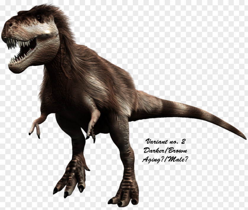 Real Mustache Tyrannosaurus Dinosaur Velociraptor Yutyrannus Raptorex PNG