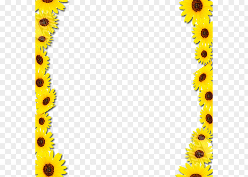 Sunflower Border Frame Common Borders And Frames Picture Clip Art PNG