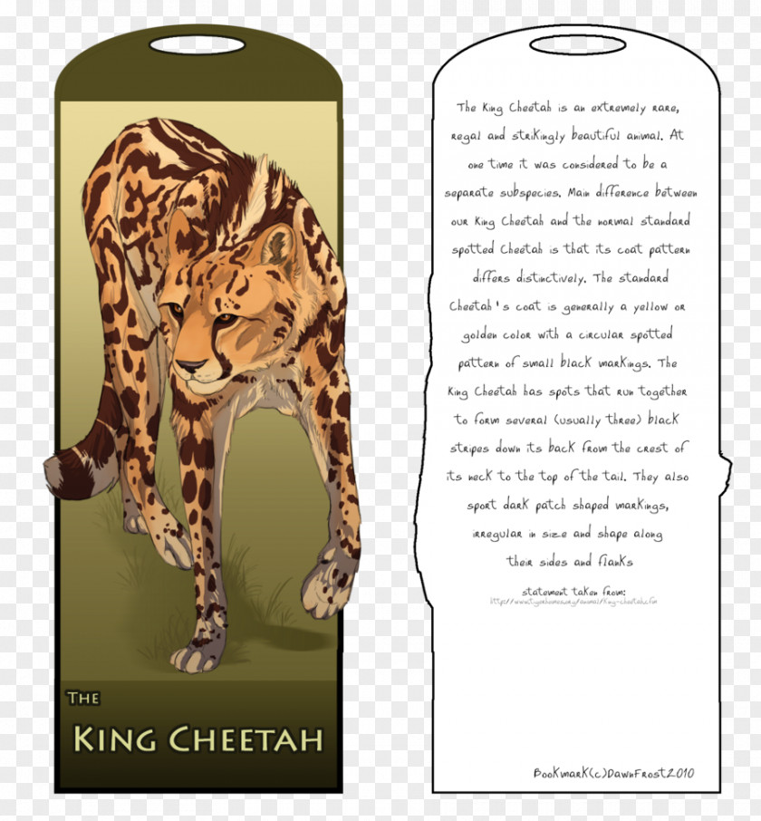 Tiger King Cheetah Leopard Lion PNG