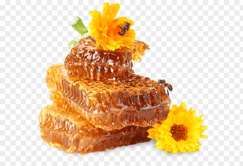 Western Honey Bee Farms Honeycomb PNG honey bee Honeycomb, clipart PNG