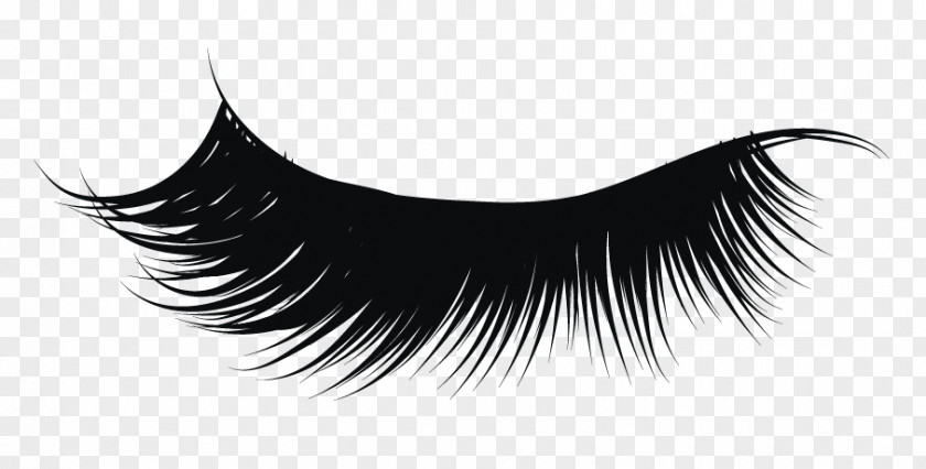 Eye Clip Art Eyelash Extensions Image PNG