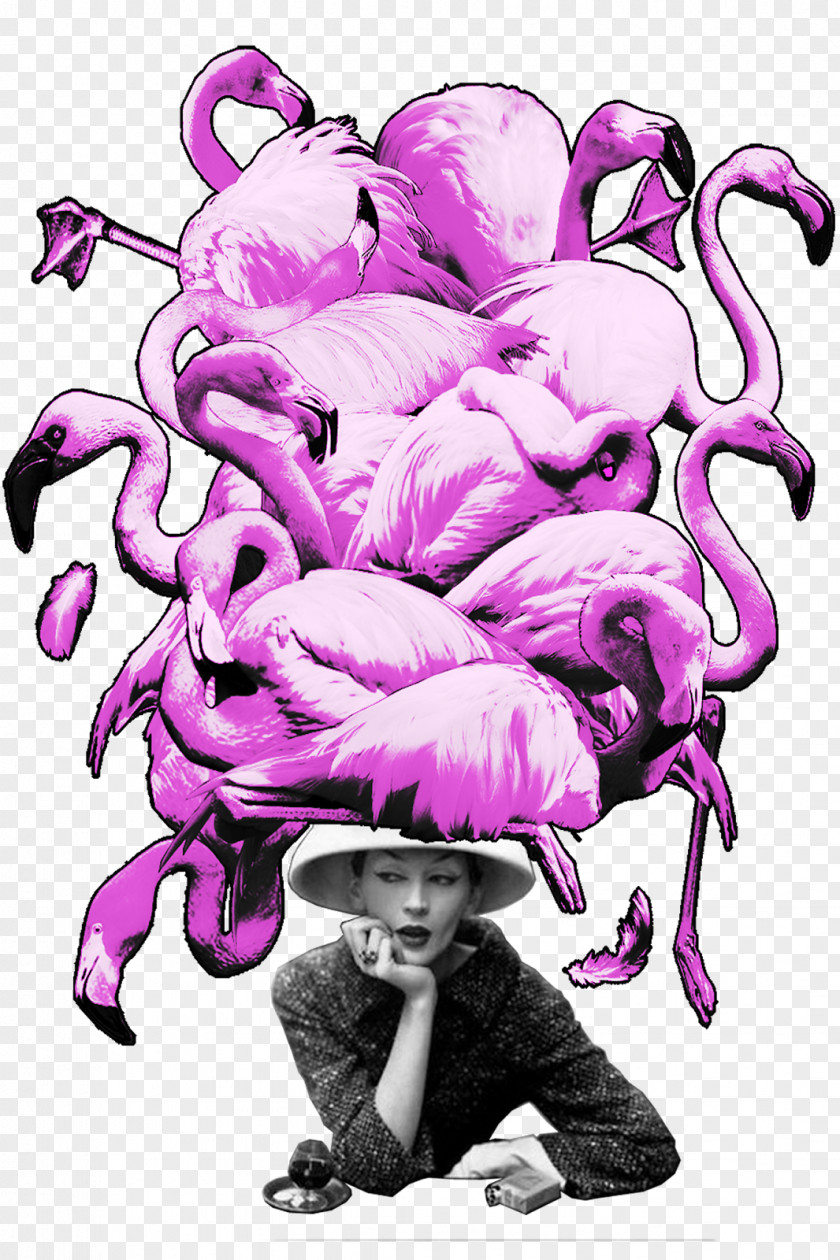 Flamingos Vertebrate Visual Arts Clip Art PNG