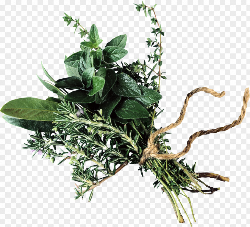 Gypsophila Beef Bourguignon Bouquet Garni Herb Olive Oil Flower PNG