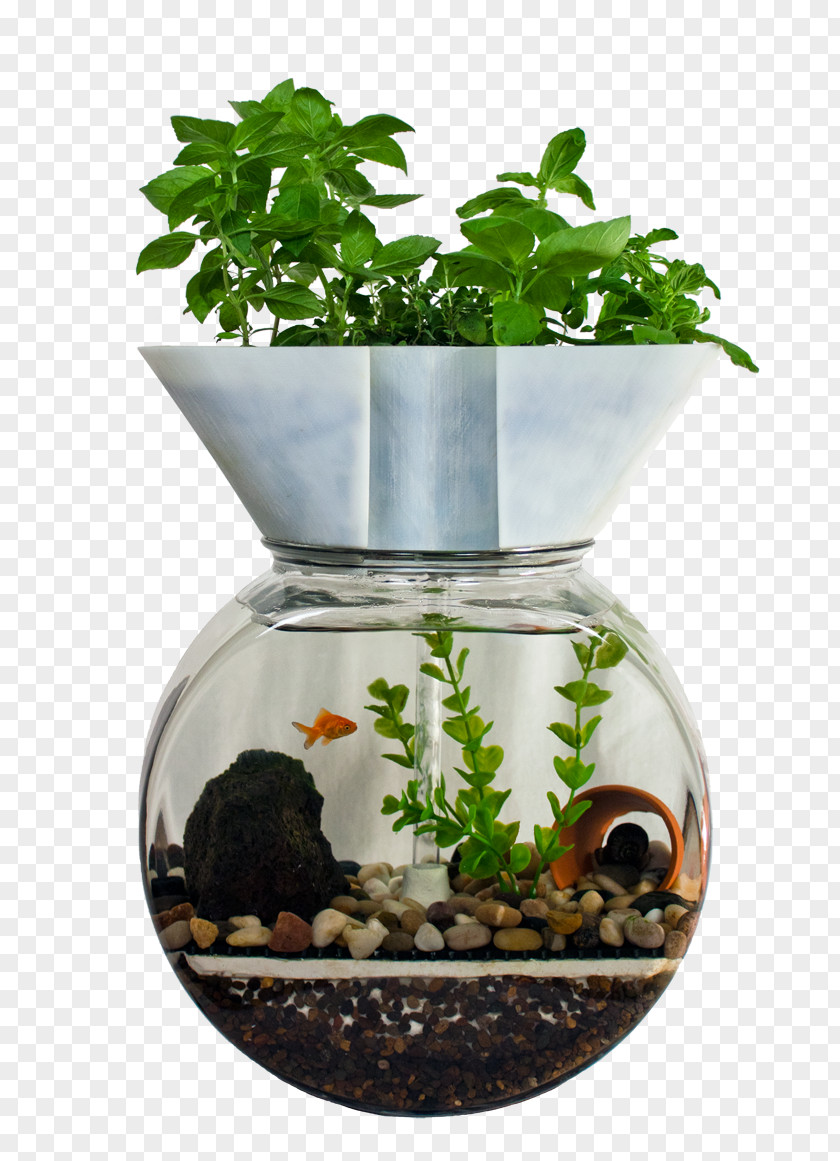 Herbes Aquaponics Aquarium Fish Hydroponics Gardening PNG