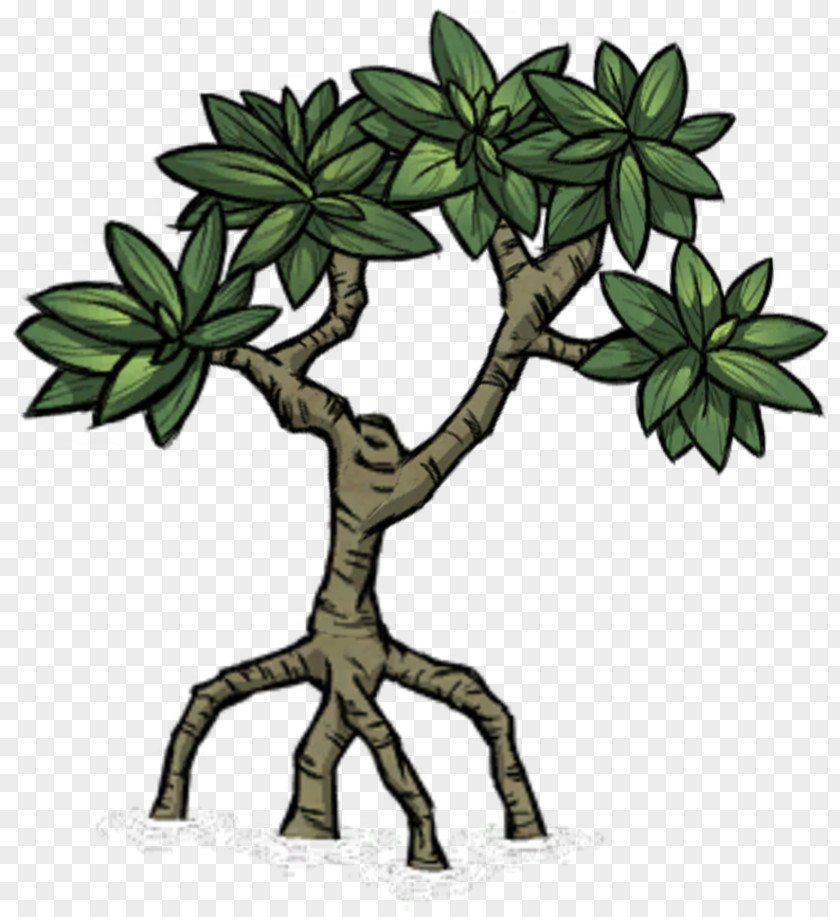 Tree Mangrove Don't Starve Plant Biome PNG