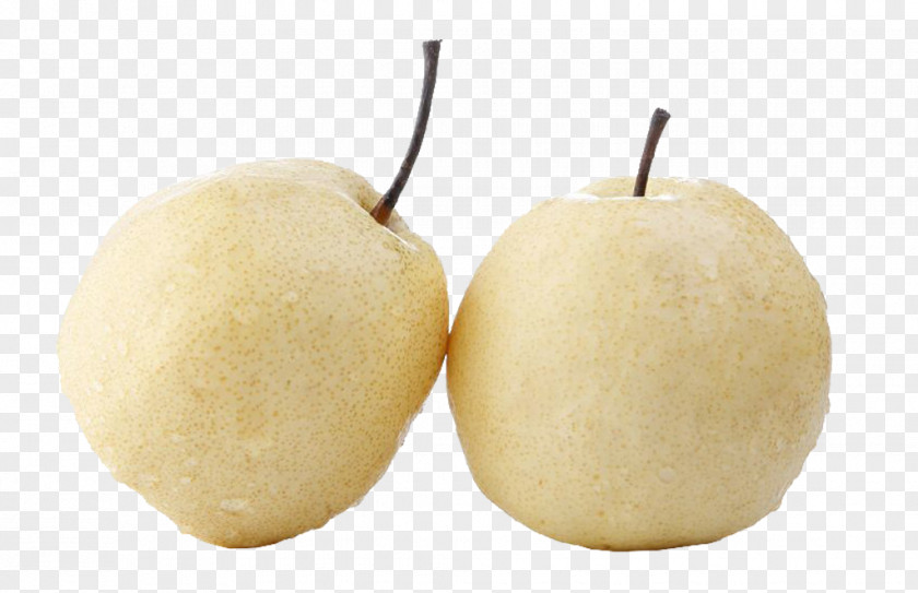 Two Pears Asian Pear PNG