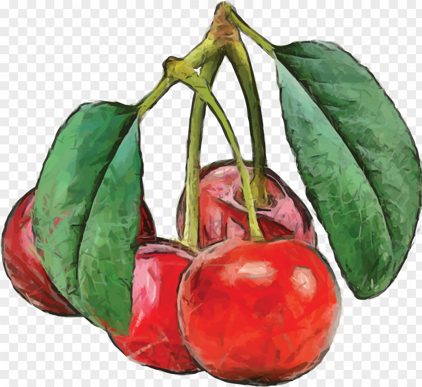 Apple Watercolor Painting PNG