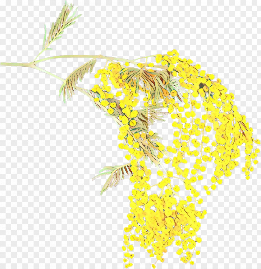 Flower Plant Yellow PNG