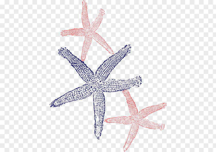 Hawaii Posters Starfish Clip Art Image PNG