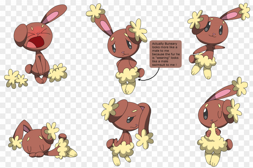 Pokemon Buneary Pokémon X And Y Sun Moon Eevee PNG
