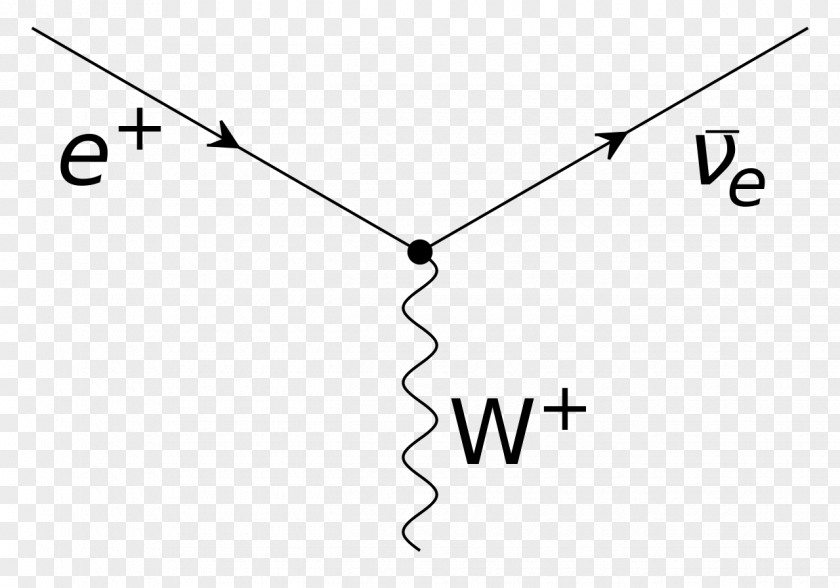 QED: The Strange Theory Of Light And Matter Feynman Diagram Quantum Electrodynamics Photon Electron PNG