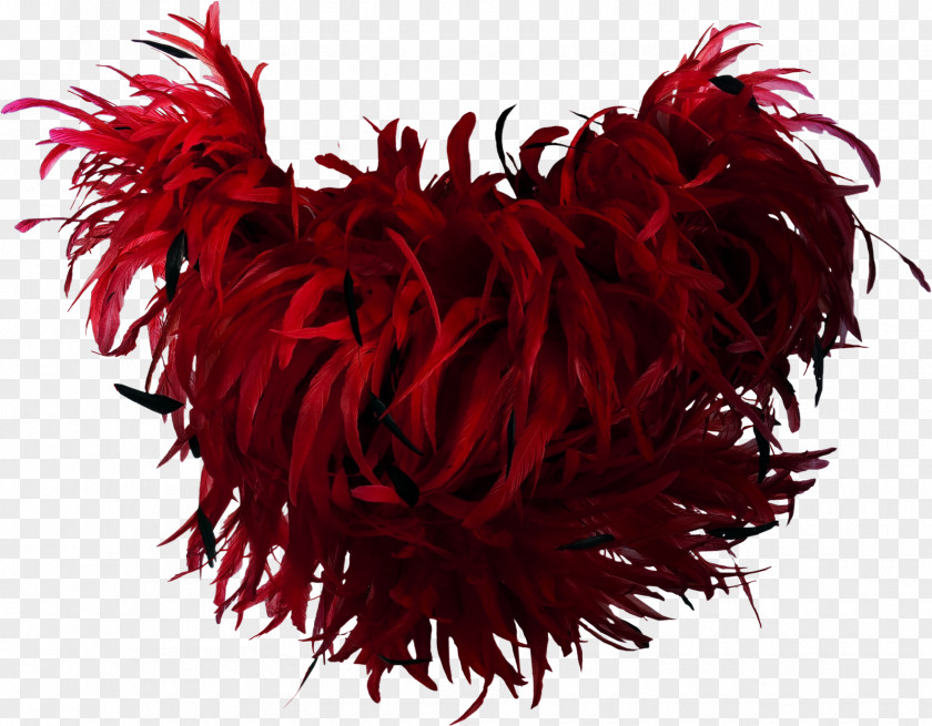 Red Feather Boa Bird PNG