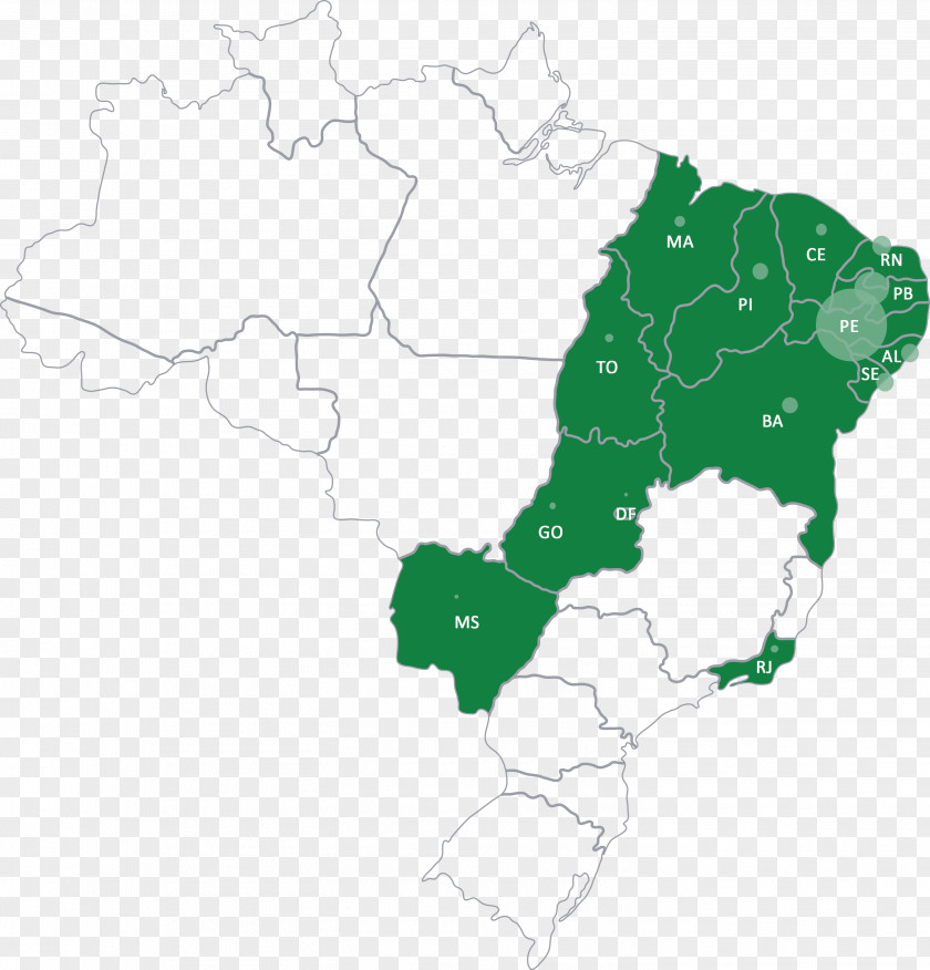 Zika Virus North Region, Brazil Variety Linguistics South PNG