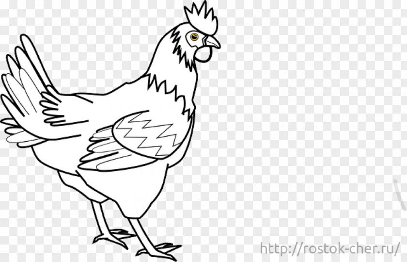 Chicken Sketch Silkie Rooster Coloring Book Clip Art PNG