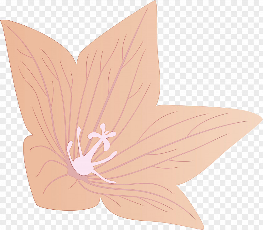 Flower Petal PNG