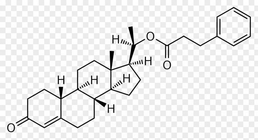 Hen Dehydrocholic Acid Bile Chemistry Carboxylic PNG