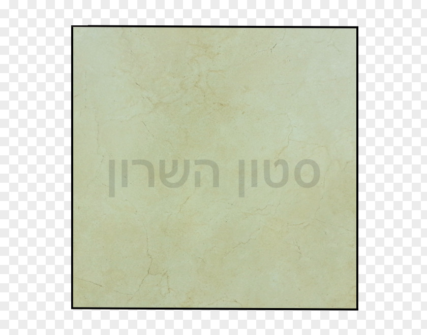 Sharon Stone Picture Frames Line Material Pattern PNG