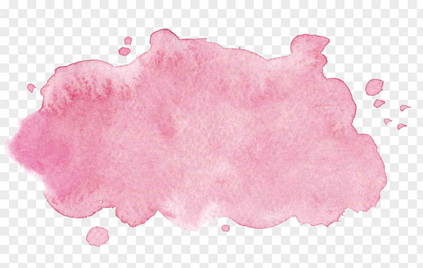 Water Pink Ink Painting Company Petal Website PNG