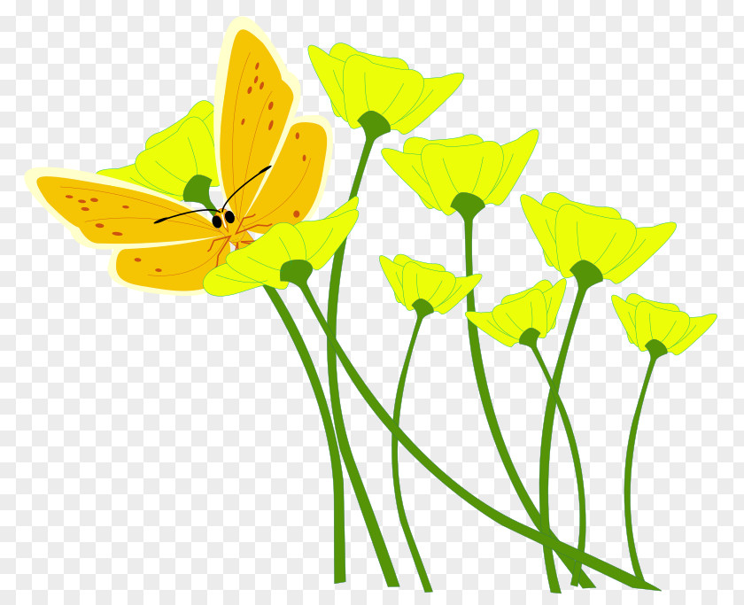 Yellow Flower Clip Art PNG