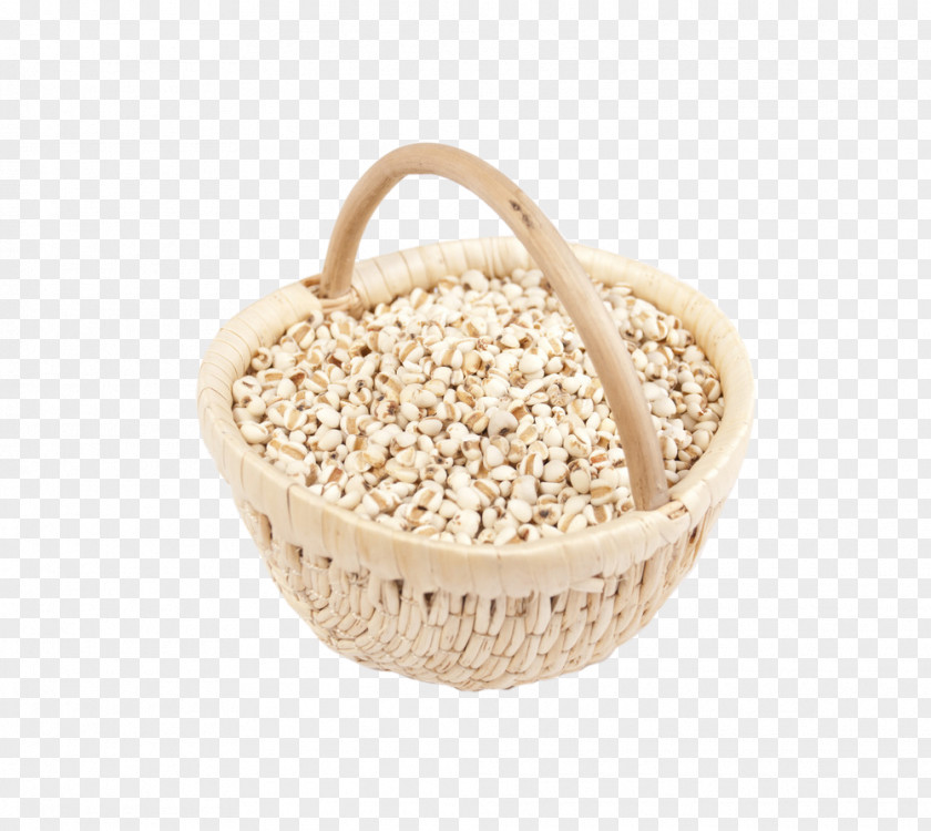 Barley Adlay Google Images Icon PNG