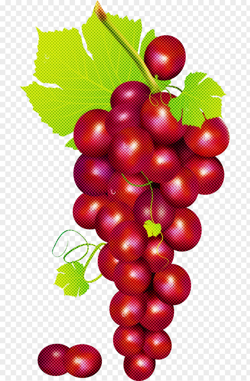 Currant Natural Foods Grape Seedless Fruit Plant Grapevine Family PNG