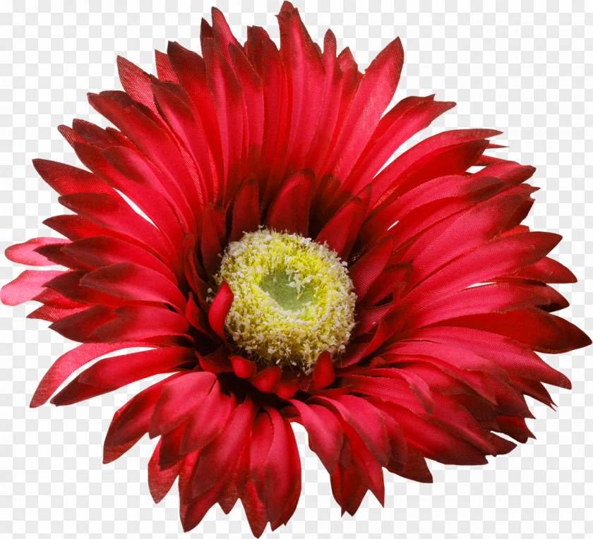 Lavanda Flower Red Clip Art PNG