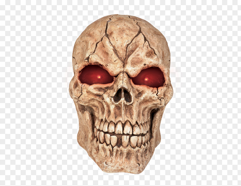 Marvel Red Skull Human Skeleton Head Bone PNG