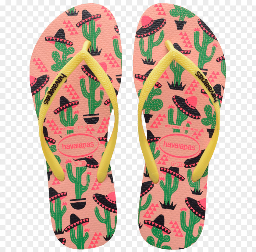 Sandal Flip-flops Havaianas Clothing Accessories Hat PNG