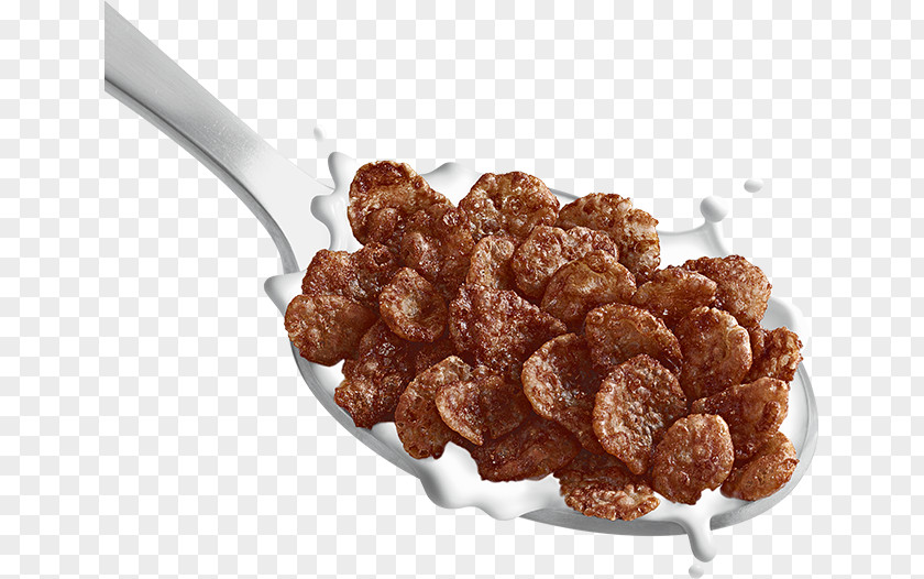 Chocolate Breakfast Cereal Golden Crisp Malt-O-Meal Fruity Dyno-Bites Corn Flakes Post Holdings Inc PNG