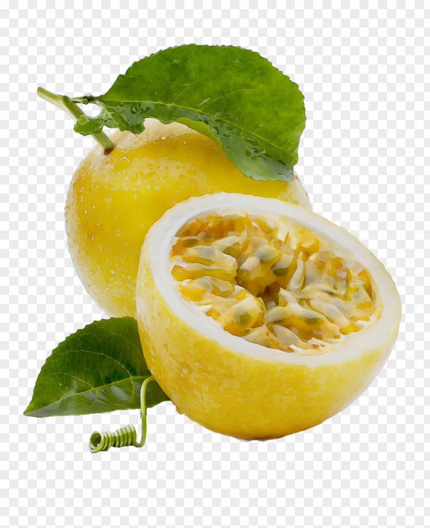 Citrus Lemon Peel Food Fruit Plant Passion Natural Foods PNG