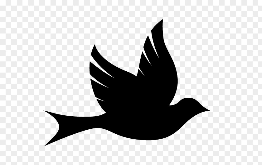 Creative Promotions Bird Healing Health Logo PNG