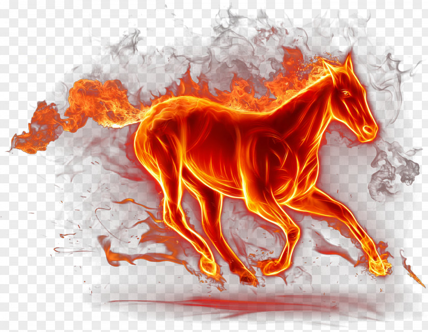 Fine Horse Fire Pony PNG