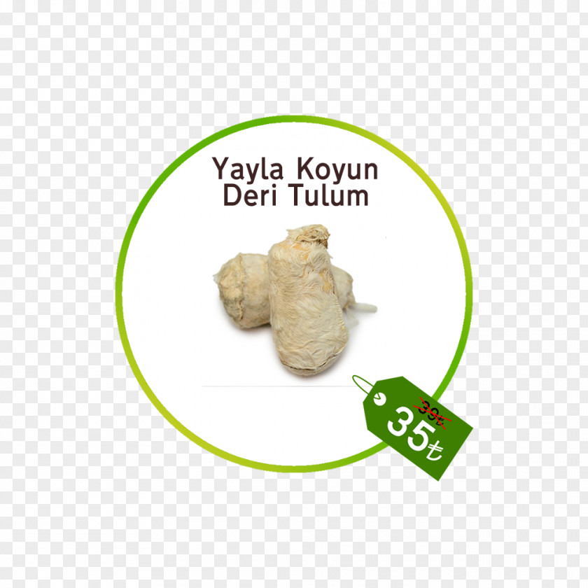 Koyun Product Font Animal PNG