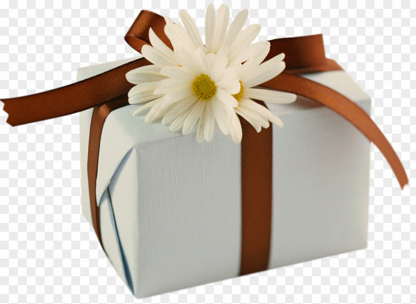 White Present With Brown Bow And Daisies Clipart Birthday Wish Friendship Greeting Card Happiness PNG
