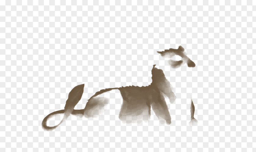 Cat Fauna Tail Mammal Wildlife PNG