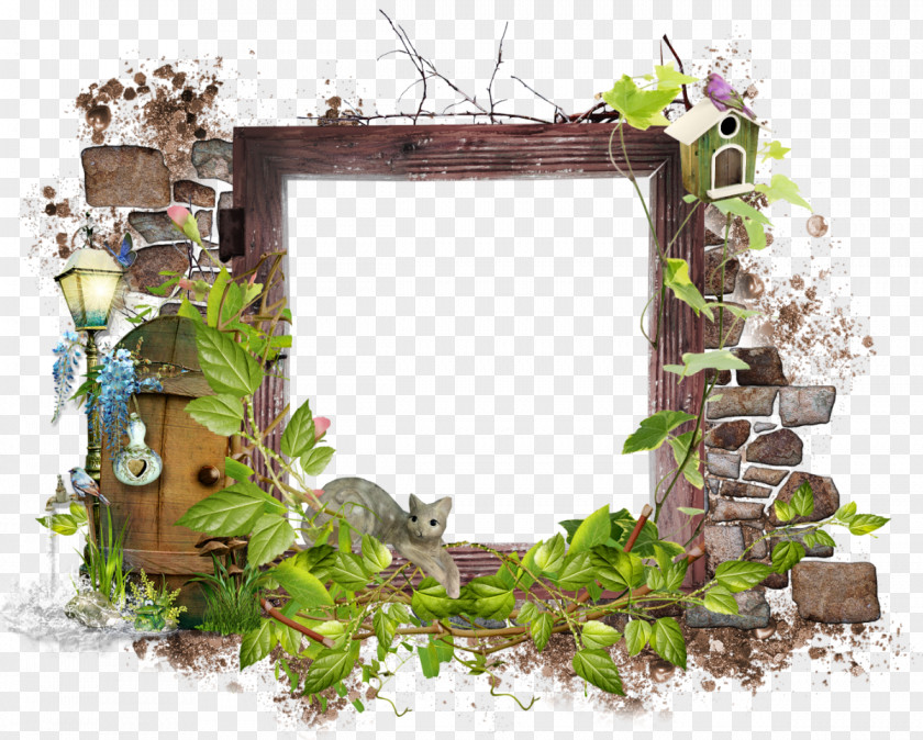 Frame Picture Frames Clip Art PNG