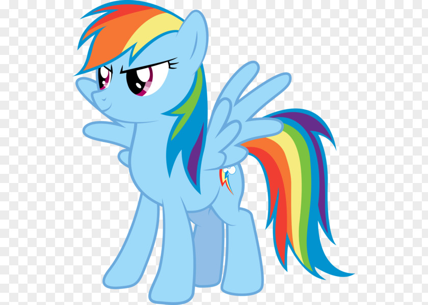 My Little Pony Rainbow Dash Rarity Twilight Sparkle Applejack Pinkie Pie PNG