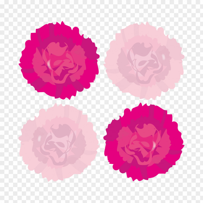 Pink Carnation Magenta Violet PNG