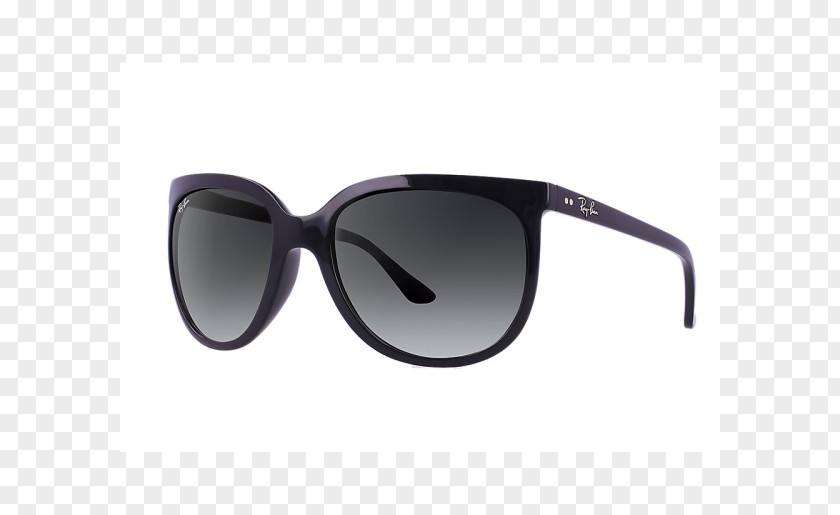 Ray Ban Ray-Ban Chris Erika Classic Aviator Sunglasses Cats 1000 PNG