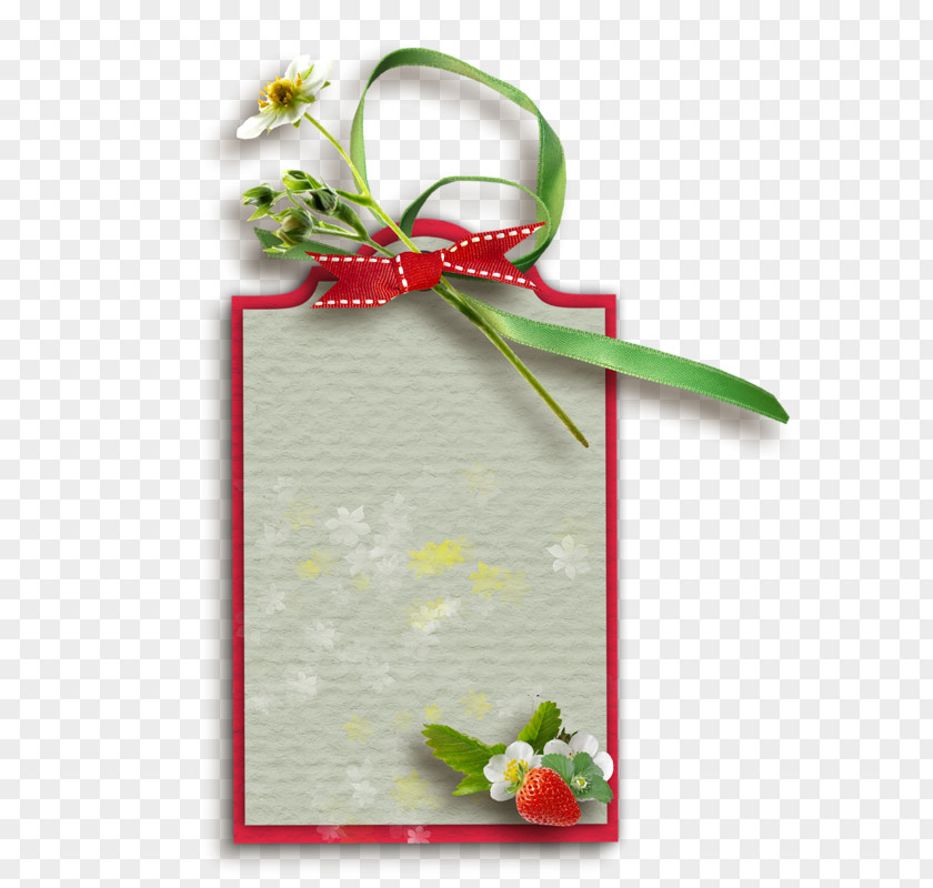 Ribbon Floral Design Gift Picture Frames Image PNG