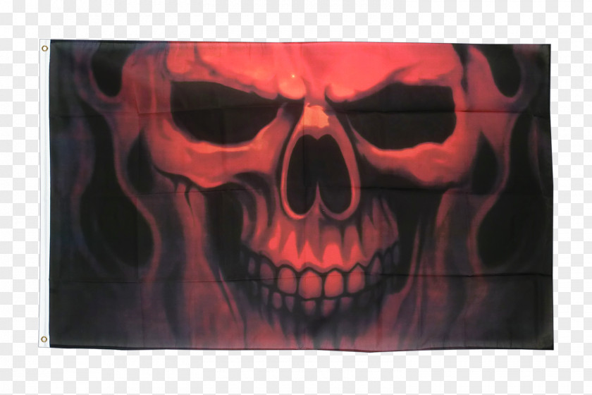 Skull Human Symbolism Flags Of The World Jolly Roger PNG