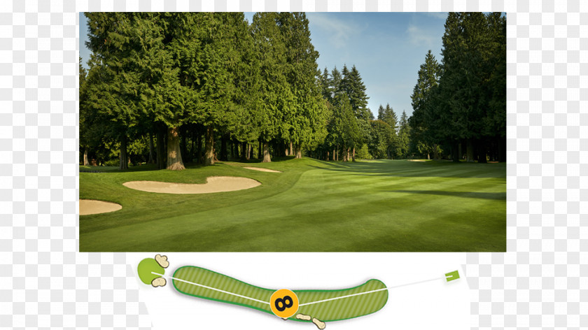 Womens Pga Championship Golf Clubs Course Lawn PNG