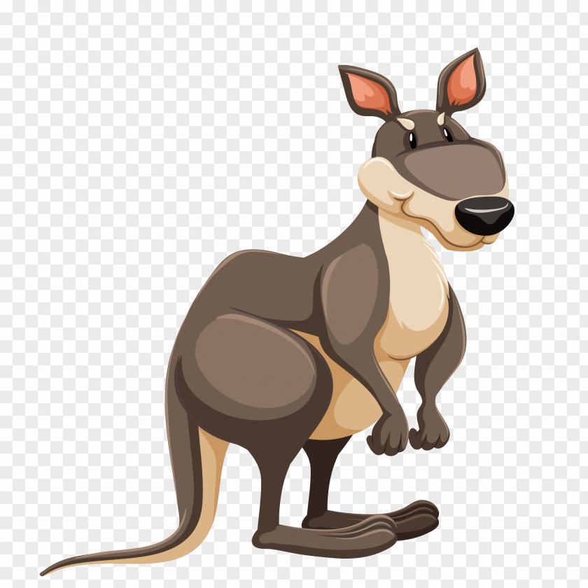 Australia Anteater Wombat PNG