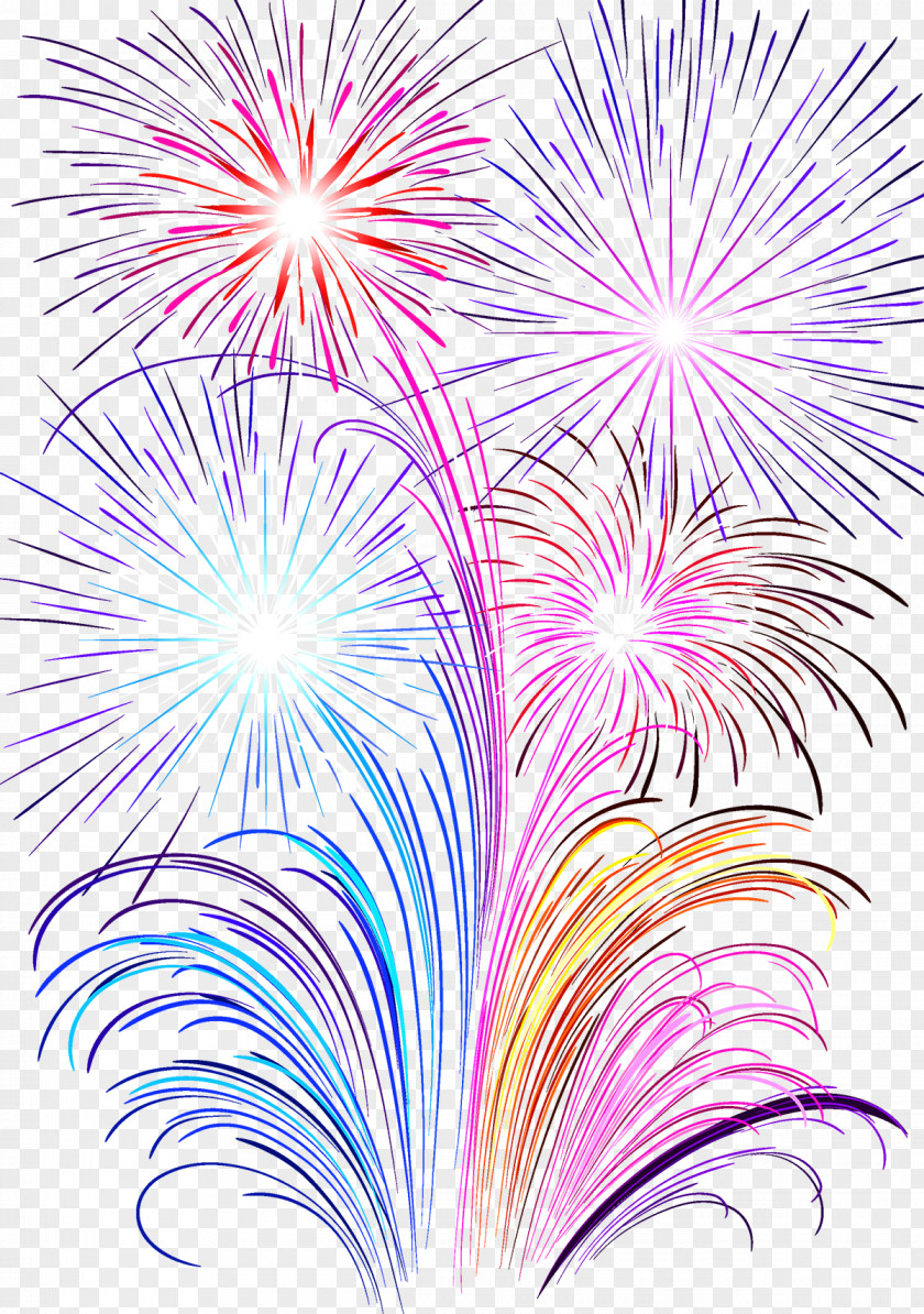 Fireworks Photography PNG